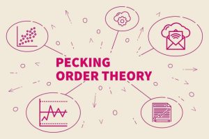 pecking order theory là gì 2